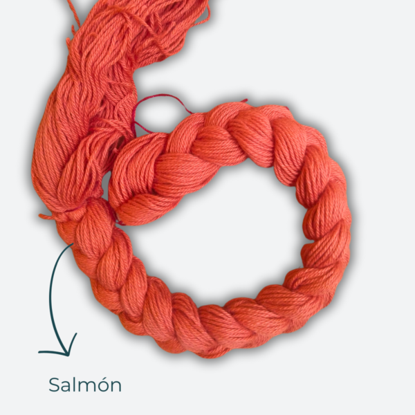 Trenza salmón